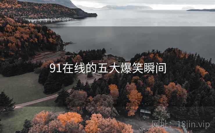 91在线的五大爆笑瞬间